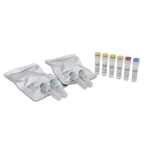 Набор для теста COVID-19 - Palm PCR™ - Ahram Biosystems, Inc. - SARS-COV-2 / в реальном времени