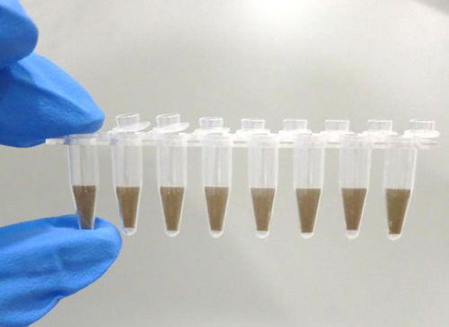 Пробирка для PCR - 10011 - JN Medsys Pte. Ltd. - лабораторная / с V-образным дном