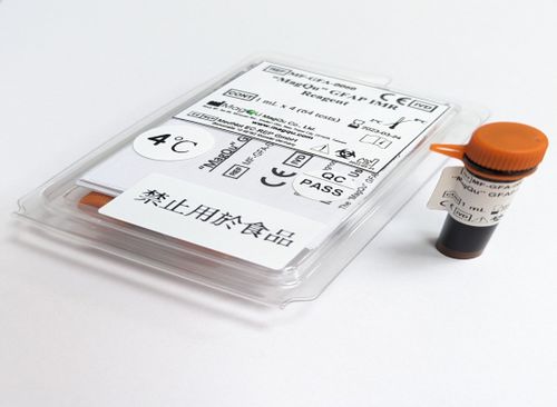 Реактив антитела - MF-GFA-0060 - MagQu Co., Ltd. - для исследований / для диагностики / для протеинов