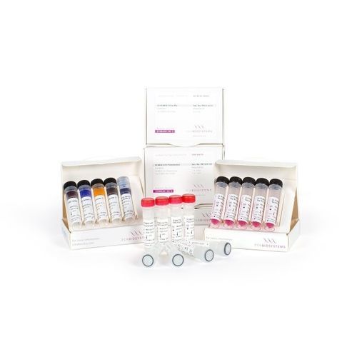 Набор реактивов фермент - VeriFi™ - PCR Biosystems Ltd. - ДНК-полимераза / краситель / для PCR