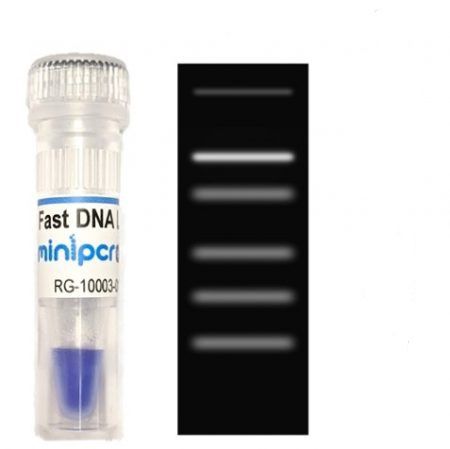 Реактив краситель - miniPCR bio™ - Amplyus - ДНК-диагностика / для электрофореза / жидкость
