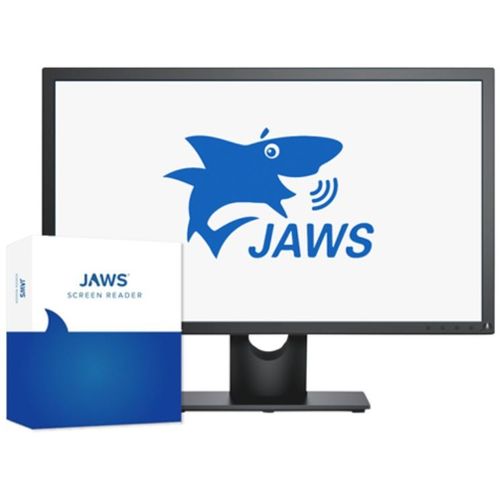 Учебное программное обеспечение - JAWS® - Freedom Scientific - для захвата / скринридер / для обслуживания пациентов на дому
