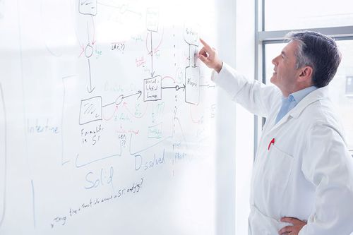 Арматура стен для учреждений здравоохранения - Whiterock™ Whiteboard - ALTRO LTD - для операционного блока