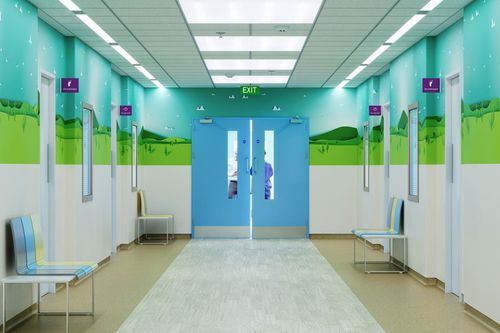 Служебная дверь - doorsets™ - ALTRO LTD - для операционной / для лаборатории / створчатая