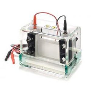 Настольная камера для электрофореза - P8-1010-NG - Gel Company