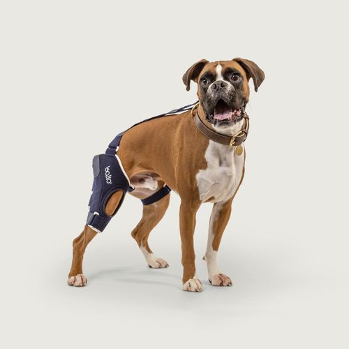Хирургическая опора для колена - Balto® Jump - KVP EU Ltd - ветеринарная / радиопрозрачная