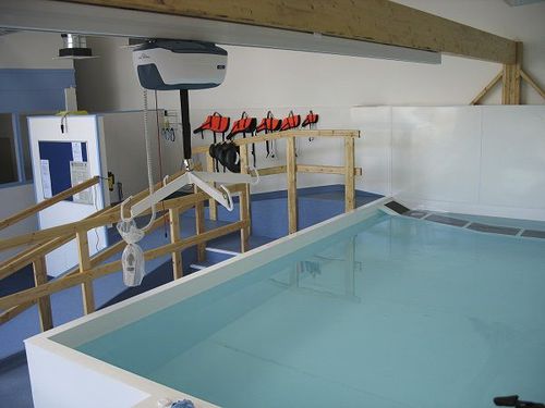 Каркасный бассейн для восстановления - Bespoke - Dogpools - ветеринарный