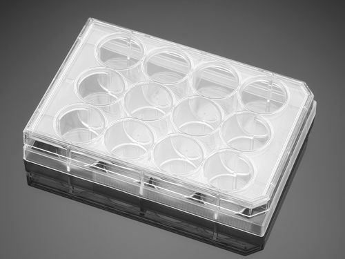 Микропластина для медико-биологических наук - 353225  - Corning BV - культуры ткани / 12 отверстий / плазменная