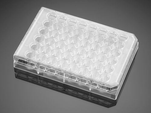 Микропластина для медико-биологических наук - 353230 - Corning BV - культуры ткани / 48 отверстий / плазменная