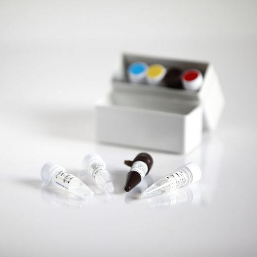 Набор для теста СПИДа - 09013025 - RTA Laboratories - на ВИЧ / сыворотки / плазменный