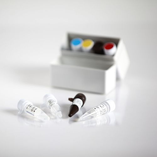 Набор для теста гепатит В - 09011025 - RTA Laboratories - VHB / клинический / сыворотки