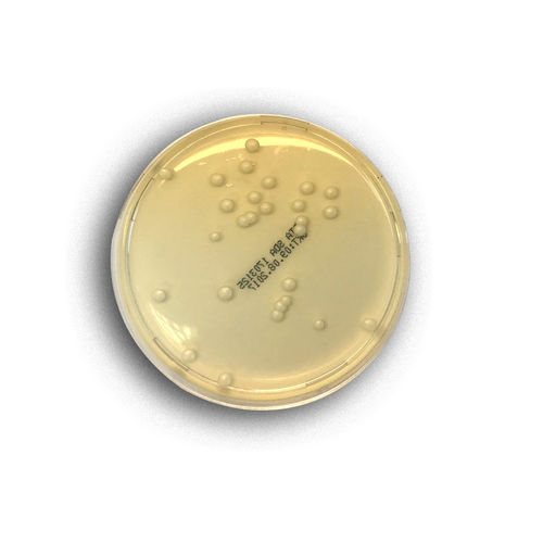 Реактив реакционная среда - 02044 - RTA Laboratories - для изоляции бактерий / для дрожжевой культуры / на кандида албиканс