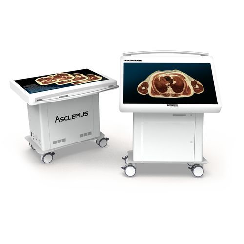 Анатомический стол для обучения - TBK 43 LT - Taiwan Main Orthopaedic Biotechnology - для виртуального рассечения / мобильный / с регулируемой высотой