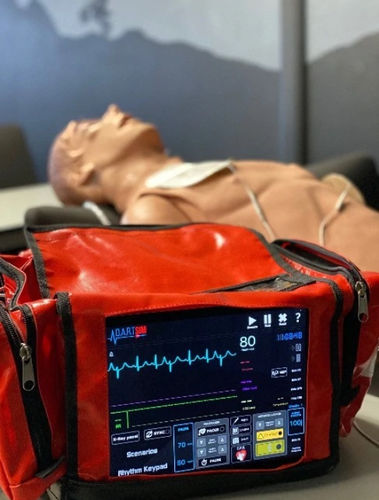 Учебный медицинский симулятор - DART Sim  - DART Sim ECG Simulator - для ЭКГ / SpO2 / EtCO2