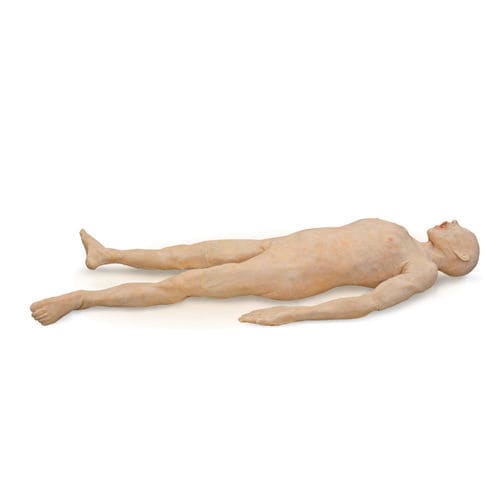 Анатомическая модель тело - 101300 - SynDaver Labs - для тела / кожа / хирургическая