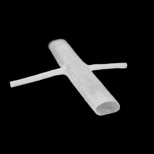 Анатомическая модель для брюшной аорты - 160100 - SynDaver Labs - хирургическая / учебная / для абляции