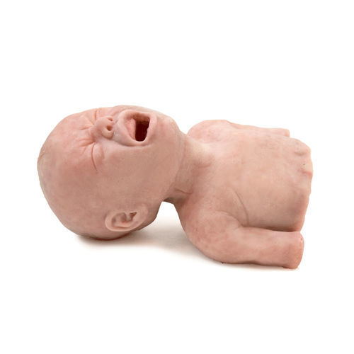 Медицинский симулятор для образовательных целей - 160420 - SynDaver Labs - для управления воздушными путями / для интубации / для оказания общей помощи
