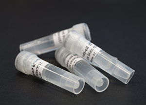 Реактив в растворе - 10000163 - microfluidic ChipShop GmbH - для молекулярной биологии