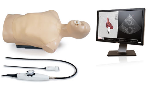 Медицинский симулятор для эхокардиографии - Dual - Inventive Medical Limited - торса / автоматизированный