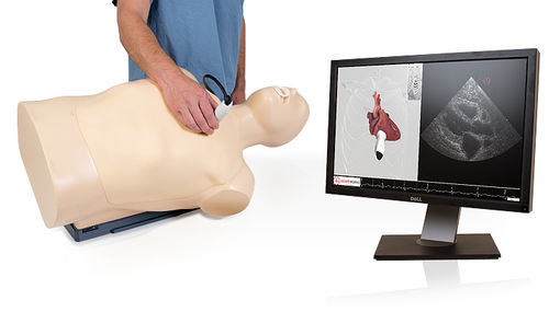 Медицинский симулятор для эхокардиографии - TTE - Inventive Medical Limited - торса / автоматизированный