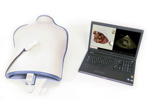 Медицинский симулятор для эхокардиографии - TTE mobile - Inventive Medical Limited - торса / автоматизированный