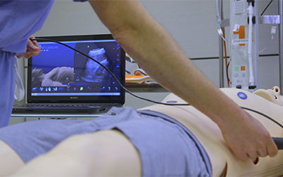 Медицинский симулятор для образовательных целей - LiveScan® - SonoSim - для ультразвуковых исследований / для оказания общей помощи / рабочая станция