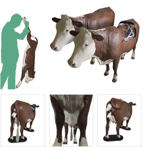 Медицинский симулятор для затрудненных родов - Veterinary Simulator Industries - для ветеринарных услуг / бык / всего тела