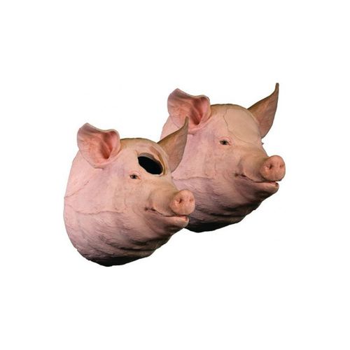 Учебный медицинский симулятор - Veterinary Simulator Industries - ветеринарный / поросенок / головы