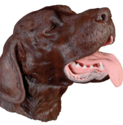 Медицинский симулятор для интубации - Veterinary Simulator Industries - для извлечения / для стоматологической хирургии / собаки