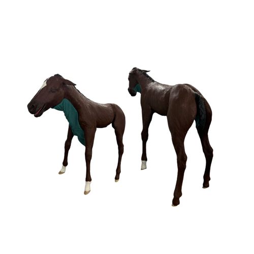 Ветеринарный учебный манекен - Veterinary Simulator Industries - для пальпации / для интубации / для затрудненных родов