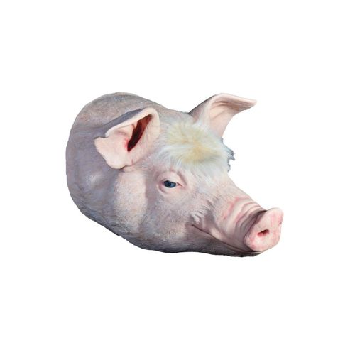 Медицинский симулятор для образовательных целей - Veterinary Simulator Industries - ветеринарный / поросенок / головы