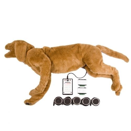 Медицинский симулятор для прослушивания - GOLDIE  - Rescue Critters - для дыхания / ветеринарный / стеноза