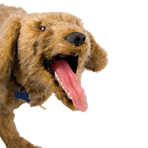 Ветеринарный учебный манекен - Jerry K-9 - Rescue Critters - для RCP / для бандажа / собака