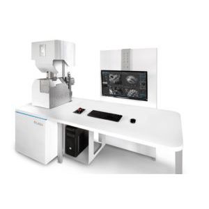 Микроскоп SEM - CLARA - TESCAN GmbH - для биологии / для контроля / для фармацевтической промышленности