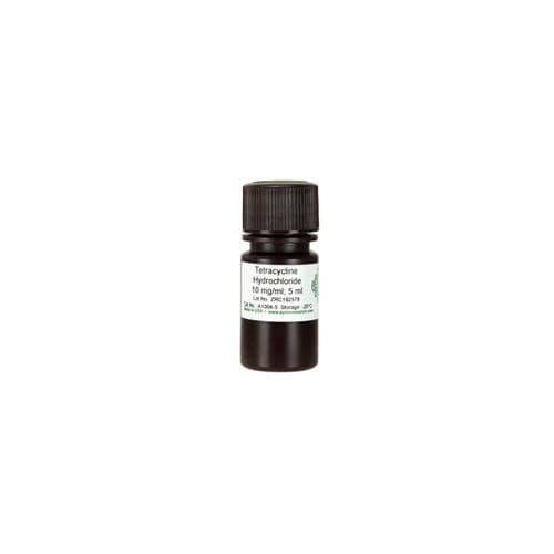 Реактив в растворе - A1004 series - Zymo Research - для реакции амплификации / Escherichia coli (кишечная палочка)