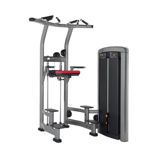 Спортивный тренажер вертикальные отжимания сидя - INSIGNIA - Life Fitness