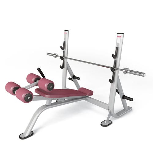 Инвертированная силовая скамья - FIT EVO 1fe206 - Panatta - с держателем гантелей