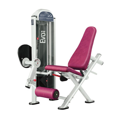 Спортивный тренажер разгибание ног - FIT EVO 1FE081 - Panatta