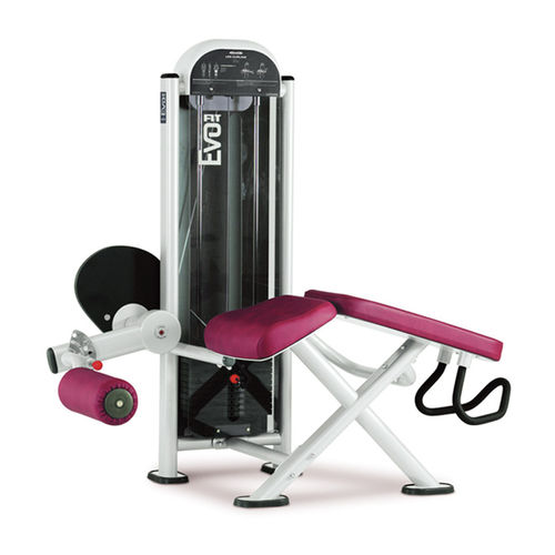 Спортивный тренажер сгибание вытянутых ног - FIT EVO 1FE082 - Panatta