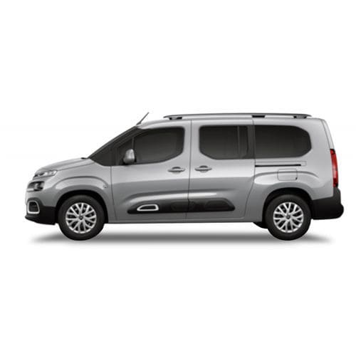Транспортное средство для инвалидов минивен - Citroën Berlingo  - Olmedo Special Vehicles - задний вход