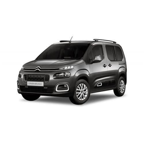 Транспортное средство для инвалидов минивен - Citroën Berlingo Flexi Ramp - Olmedo Special Vehicles - задний вход