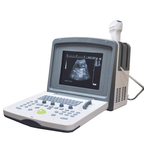 Переносной ветеринарный ультразвуковой сканер - DP-6500 VET - Promed Technology - многоцелевой / черно-белый