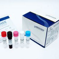 Набор для теста лихорадка денге - GenoAmp&reg; GRA2006 - Medical Innovation Ventures - для вируcов / сыворотки / плазменный