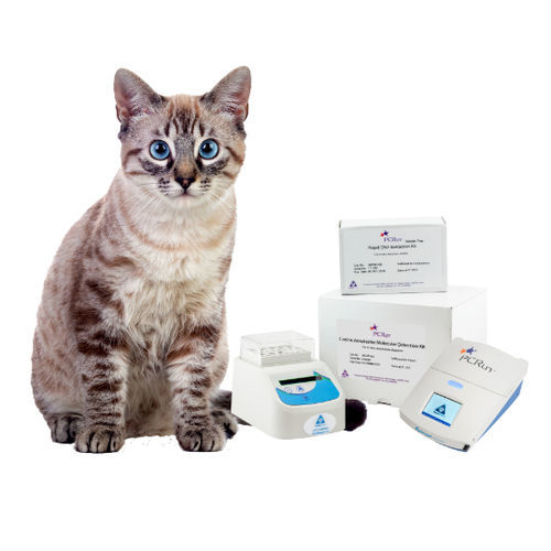 Ветеринарный набор для теста - PCRun® - Biogal – Galed Laboratories - для животных / с радиальным потоком / молекулярный