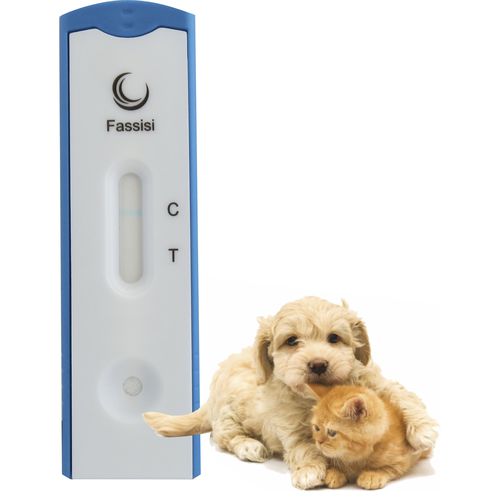 Экспресс-тест на инфекционные заболевания - Parvo - Fassisi, Gesellschaft für Veterinärdiagnostik und Umweltanalysen mbH - для кошек / для собак / на парвовирус собак