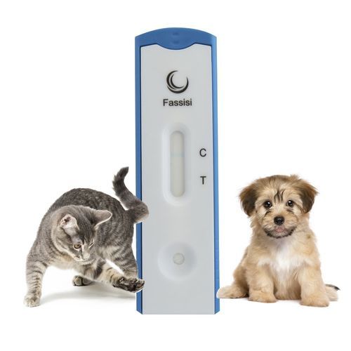Экспресс-тест на инфекционные заболевания - CORONA - Fassisi, Gesellschaft für Veterinärdiagnostik und Umweltanalysen mbH - для кошек / для собак / на коронавирус