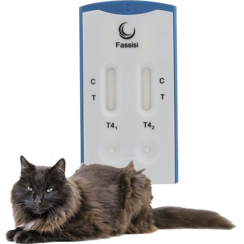 Экспресс-тест на заболевания щитовидной железы - T4 - Fassisi, Gesellschaft für Veterinärdiagnostik und Umweltanalysen mbH - ветеринарный / для кошек / сыворотки