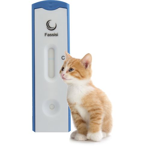Экспресс-тест на кошачий лейкоз - Fassisi, Gesellschaft für Veterinärdiagnostik und Umweltanalysen mbH - для кошек / для протеинов / на FeLV