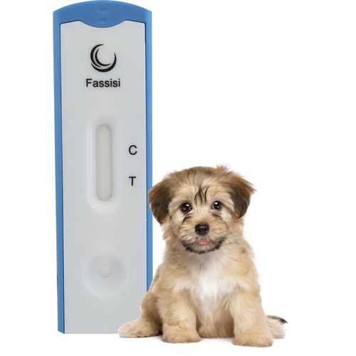 Экспресс-тест на болезнь Карре - CANDIS - Fassisi, Gesellschaft für Veterinärdiagnostik und Umweltanalysen mbH - для собак / для вируcов / для мочи