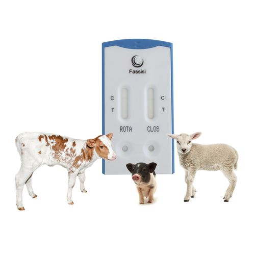Экспресс-тест на диарею - PiDia light - Fassisi, Gesellschaft für Veterinärdiagnostik und Umweltanalysen mbH - на инфекционные заболевания / для поросят / для коз